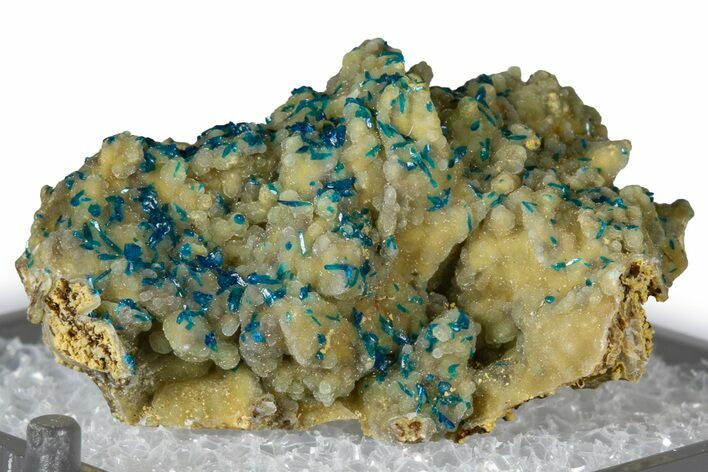 Vibrant Blue Veszelyite Crystals on Hemimorphite - China #380448
